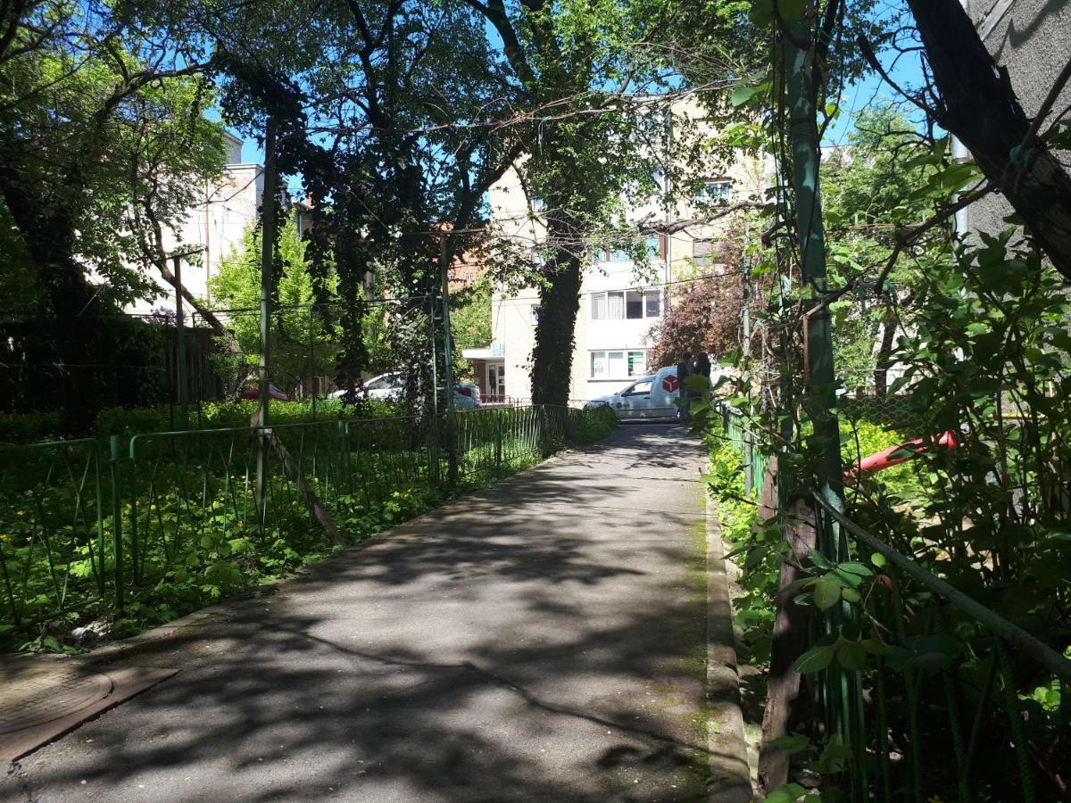 Central Place Apartment 티미쇼아라 외부 사진