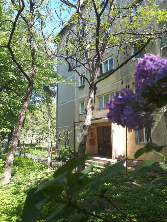 Central Place Apartment 티미쇼아라 외부 사진